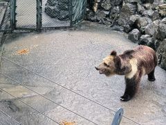 -成都动物园