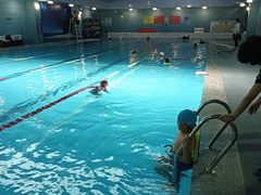 -阳光国际游泳培训基地