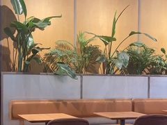 -Wagas沃歌斯(汇智店)