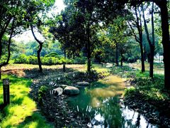 -洛阳市牡丹公园