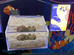 -沙沙哗啦海洋馆(华宇百花谷店)