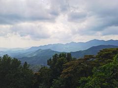 -广州市石门国家森林公园