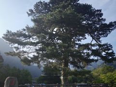 -秦岭终南山世界地质公园翠华山景区