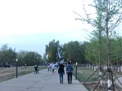 -长白岛森林公园