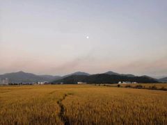 -品雅轩农家乐