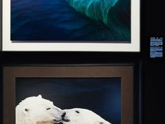 -罗红摄影艺术馆