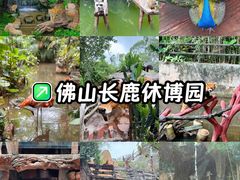 -长鹿旅游休博园