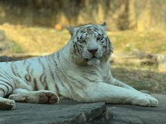 -杭州野生动物世界