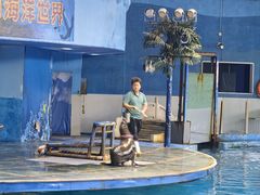 -苏州海洋馆