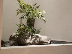 -蜜桃餐厅·伴山(绿宝广场店)