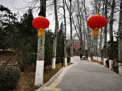 -康庄公园