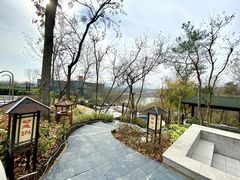 -汤山温泉房车营地 茶温泉