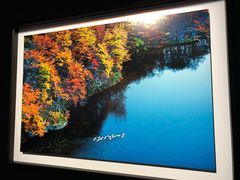 -罗红摄影艺术馆