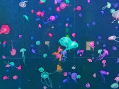 -横琴湾水世界