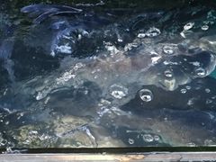 -好灶头妈妈菜·柴火灶台鱼·千岛湖土菜地标美食
