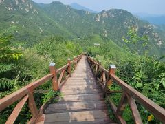 -大岭沟猕猴桃谷风景区