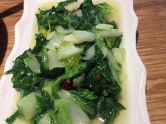 -滇铺子·云南特色菜·第九届野生菌美食节(东风东路c86店)