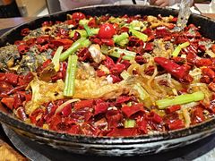 -老板恋上鱼(恒隆广场店)