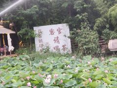 -茯茶镇