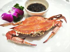 -必点海鲜·海肠捞饭大王(滨江道店)