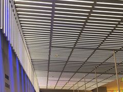 -苏小柳点心·手作小笼包(浦东嘉里城分院)