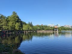 -深圳龙潭公园