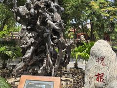 -大槐树寻根祭祖园