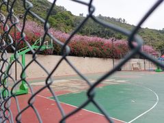 -小南山公园