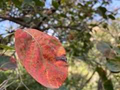 -北京上方山国家森林公园