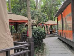 -二荆条·蜀鲜汇城市森林火锅