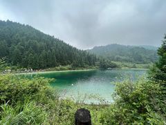 -武陵山森林公园