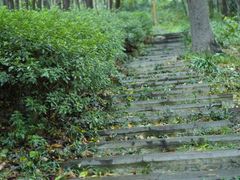 -老山国家森林公园