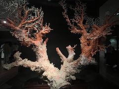 -台北故宫博物院