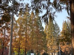 -苏州市公园路幼儿园