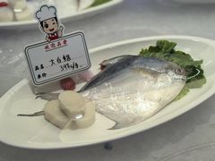 -佬太公海鸭·海鲜大排档(上海总店)