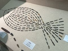 -巴音郭楞蒙古自治州博物馆