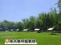 -合肥滨湖国家森林公园