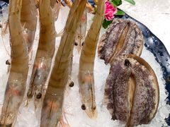 游水基围虾-ONE FULL 古董港式海鲜火锅