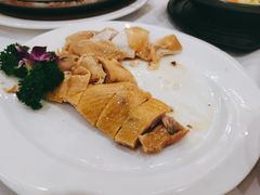白切鸡-东江渔村(皇悦店)