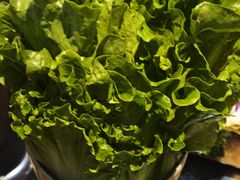 -鹤之乡·齐齐哈尔烤肉·非遗(秋涛路店)