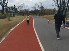 -上海长兴岛郊野公园