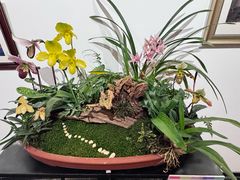 -云溪植物园