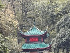 -岳麓山风景名胜区