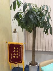 -Yestar宁波艺星整形医院