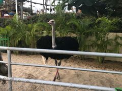 -三亚亚龙湾天域度假酒店