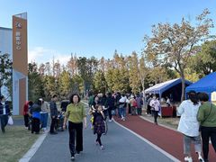 -上海长兴岛郊野公园