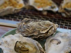 高压锅清蒸海蛎子-蚝英雄鲜蚝自助专门店(长楹天街直营店)