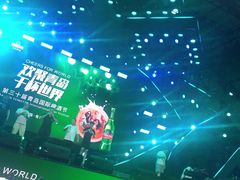 -第35届青岛国际啤酒节