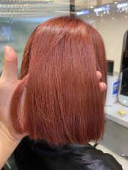 -时尚殿堂salon