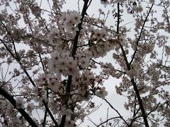 -北京稻香村(第三店)